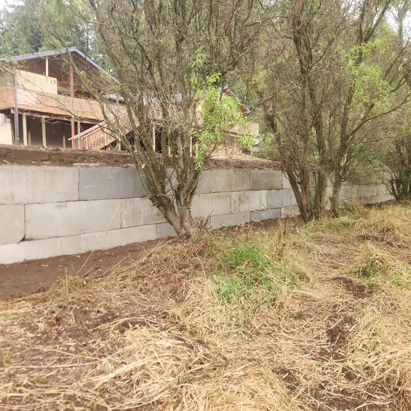 Concrete block wall running along the tree line