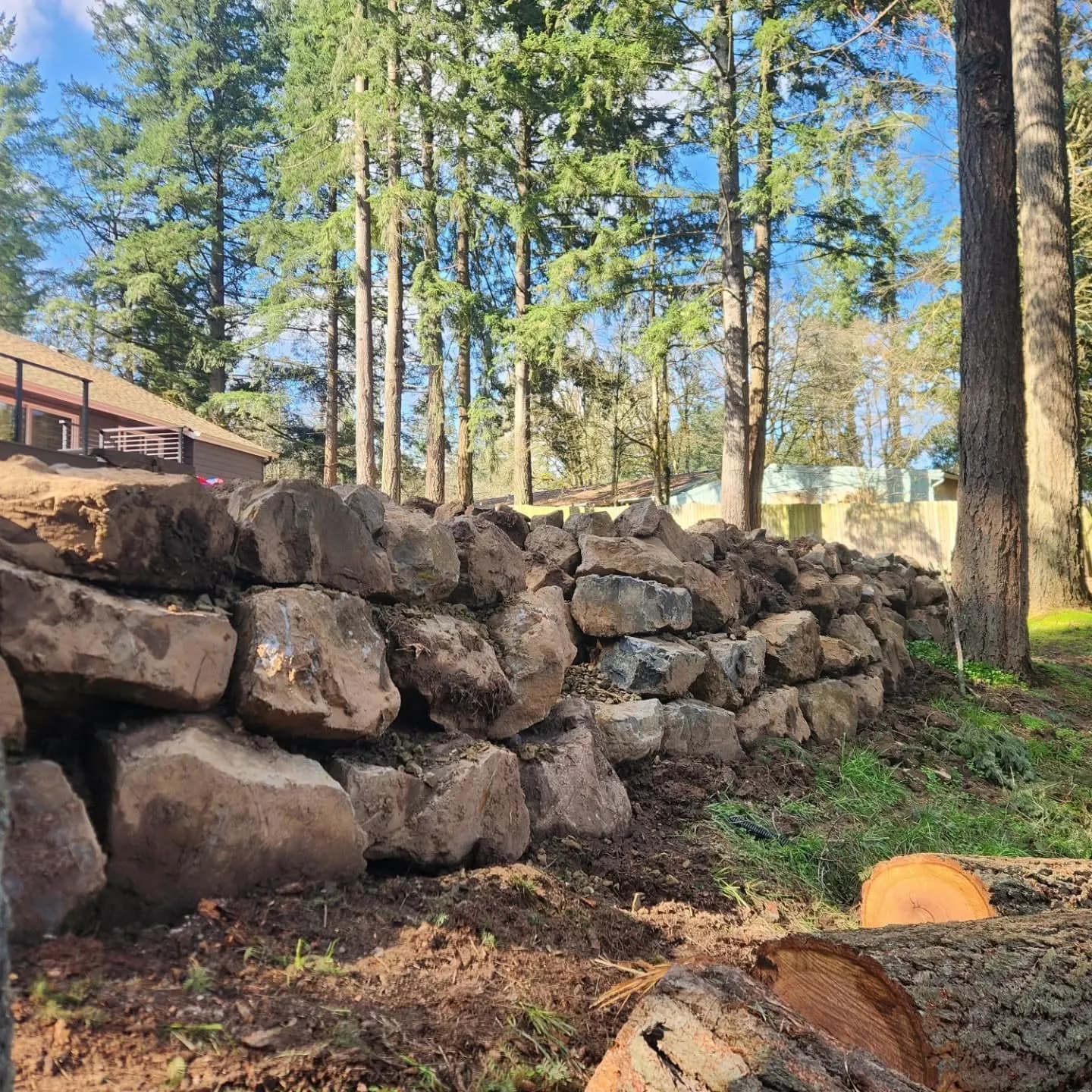 Stacked boulder retaining wall under tall firs