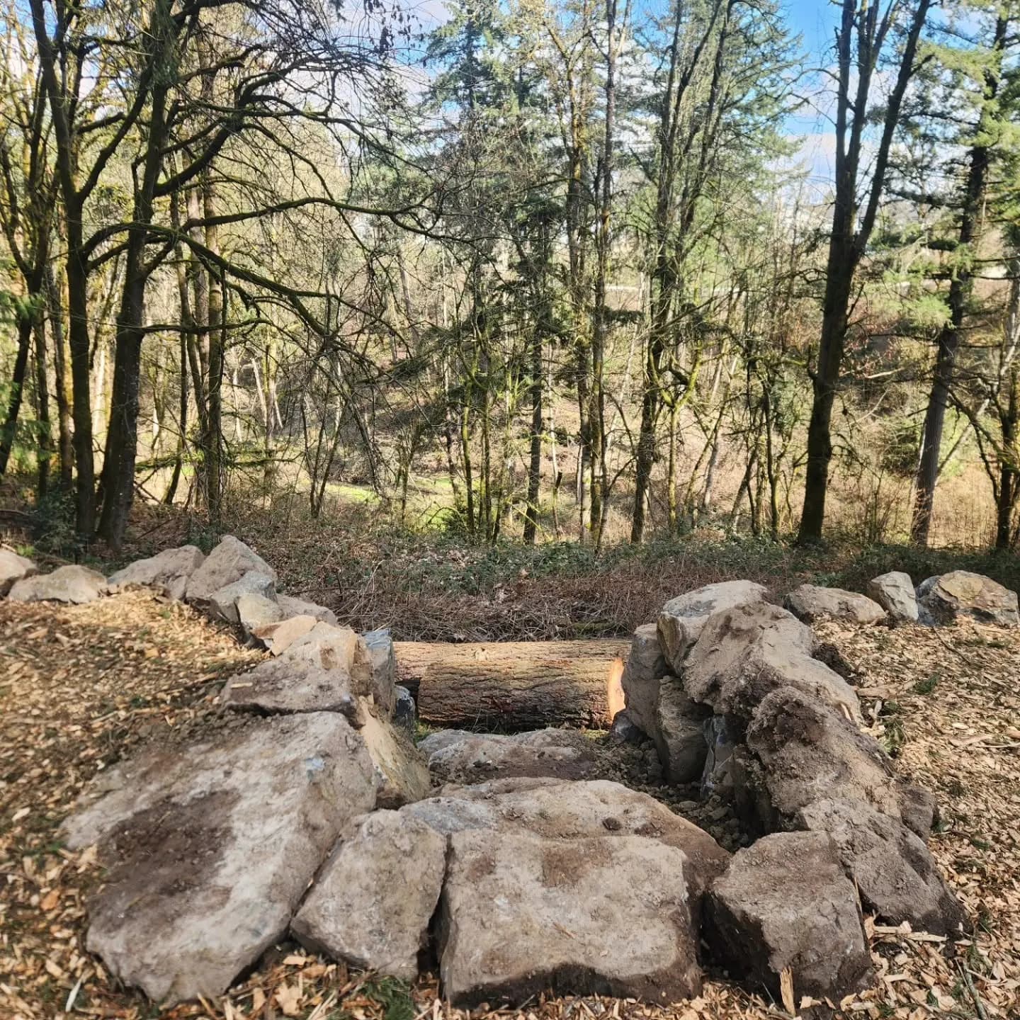 Boulders set in the new backyard